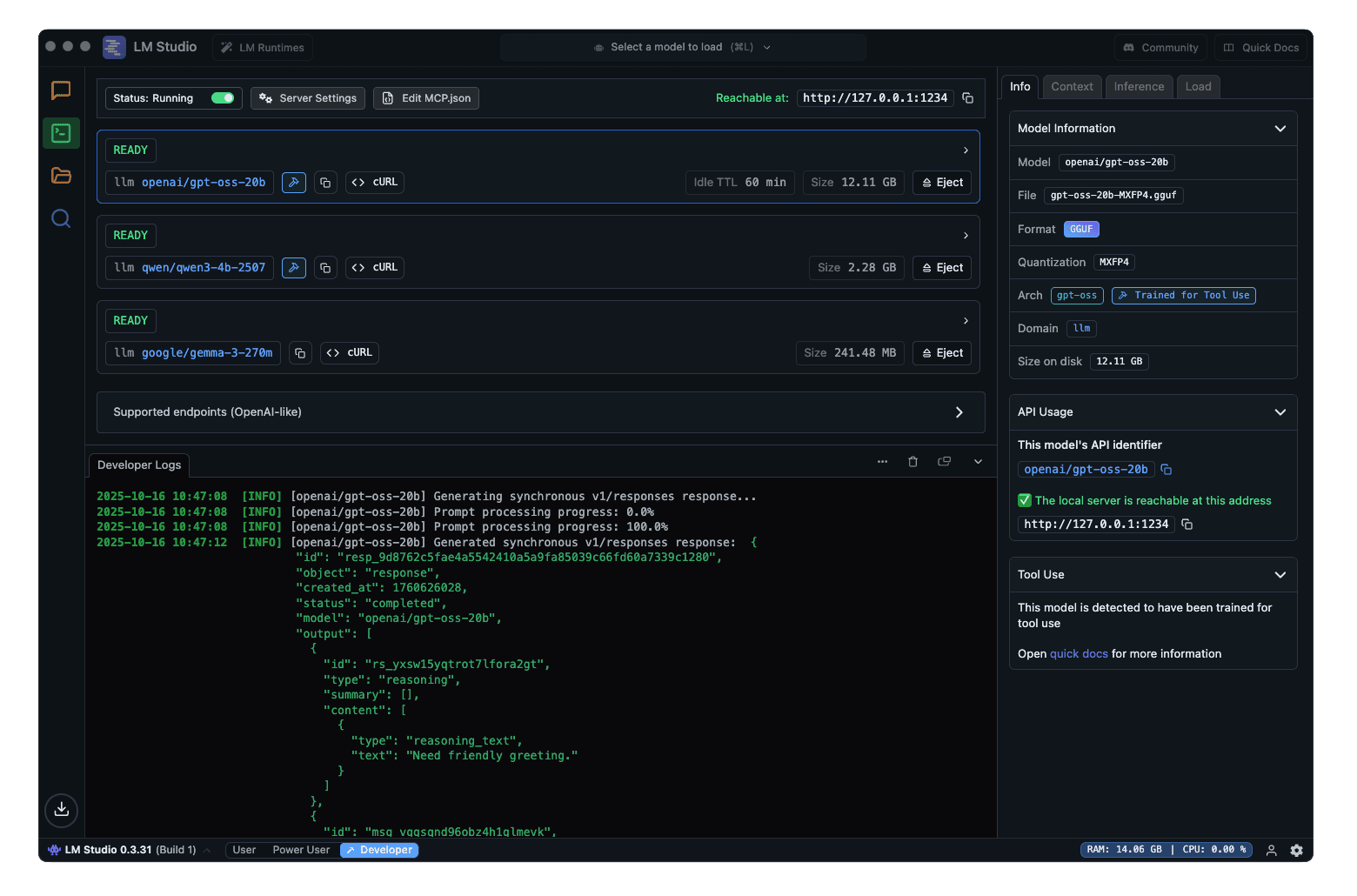 LM Studio local server interface for running local models through an API